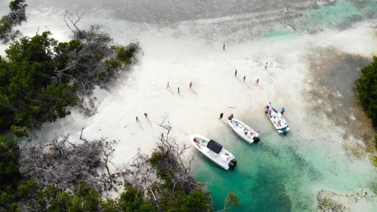 sandbar-boat-rentals-in-key-west-scaled