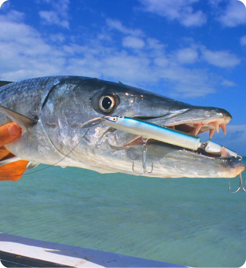 sandbar private page images (8)