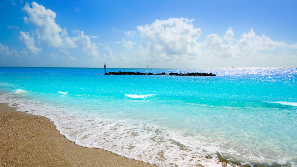 fort zachary taylor key west snorkeling