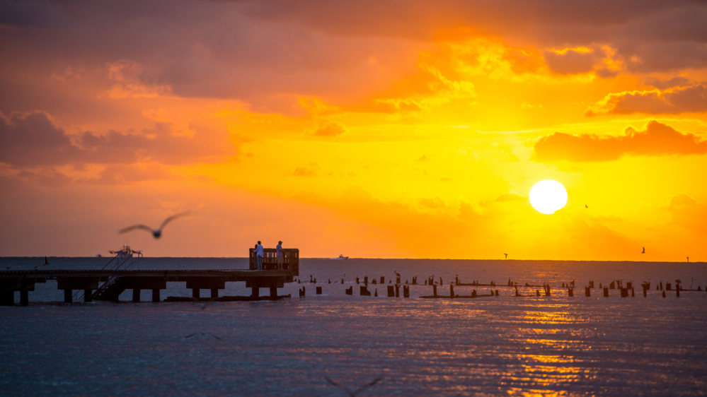 snorkel from land from higgs beach in key west florida