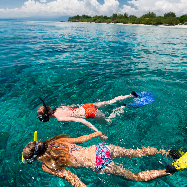 snorkeling from shore fort zachary taylor key west