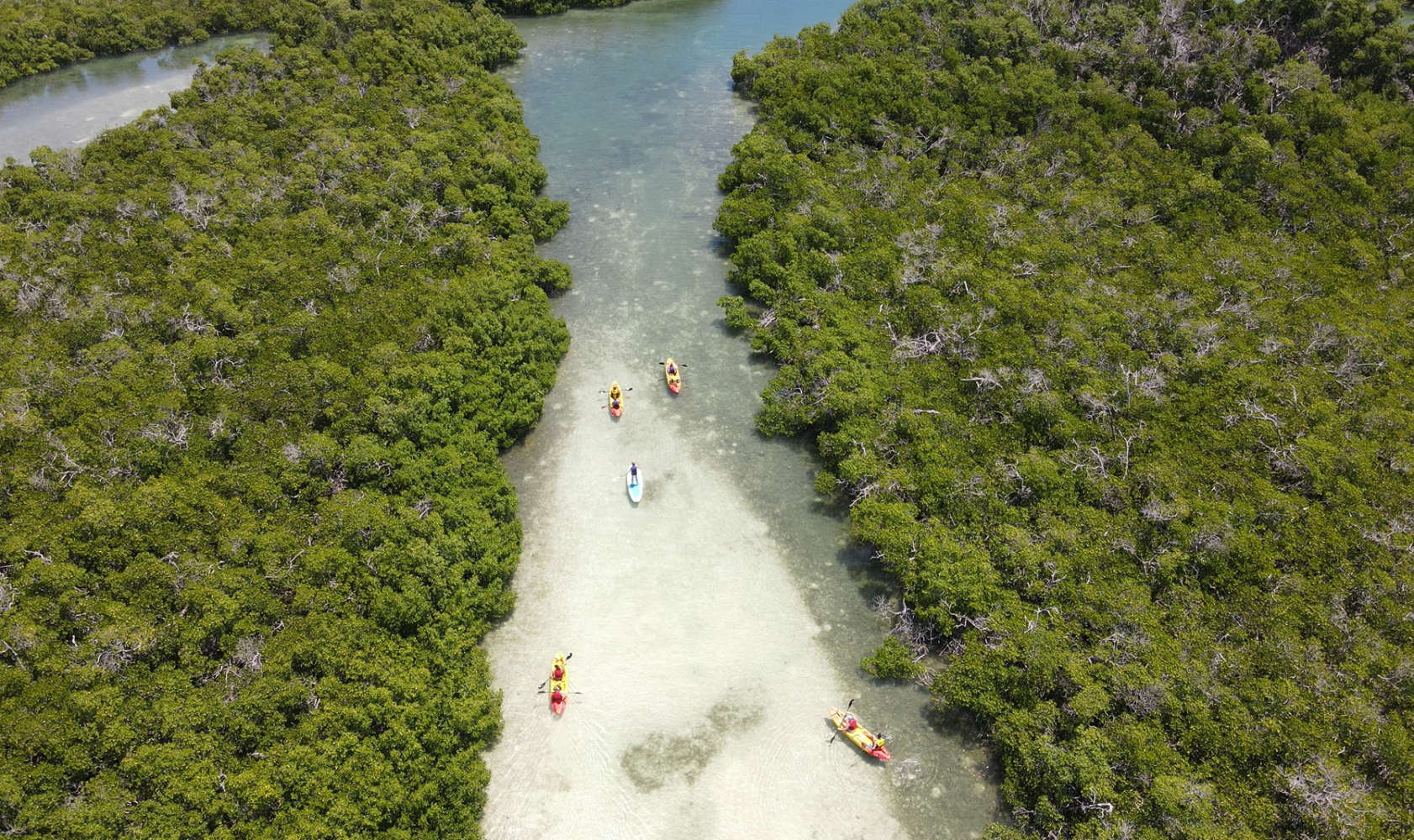 kayak tour on sandbar in key west