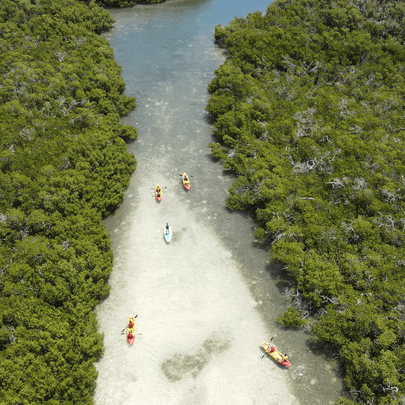 kayak tour on sandbar in key west