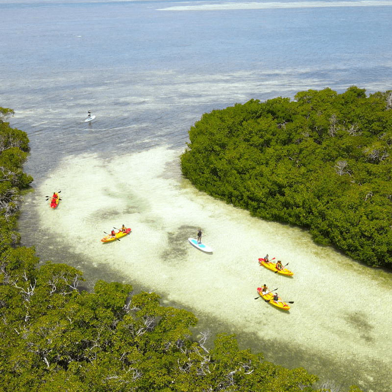 kayak tours to sandbars in key west