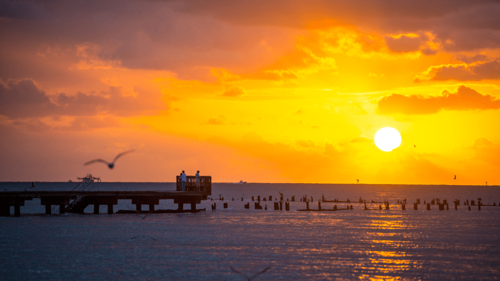 sunsets at higgs beach in key west florida