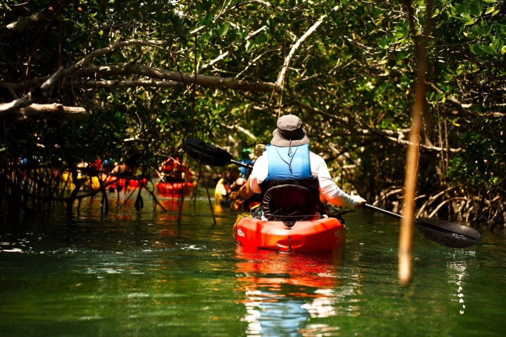 kayak tours in key west
