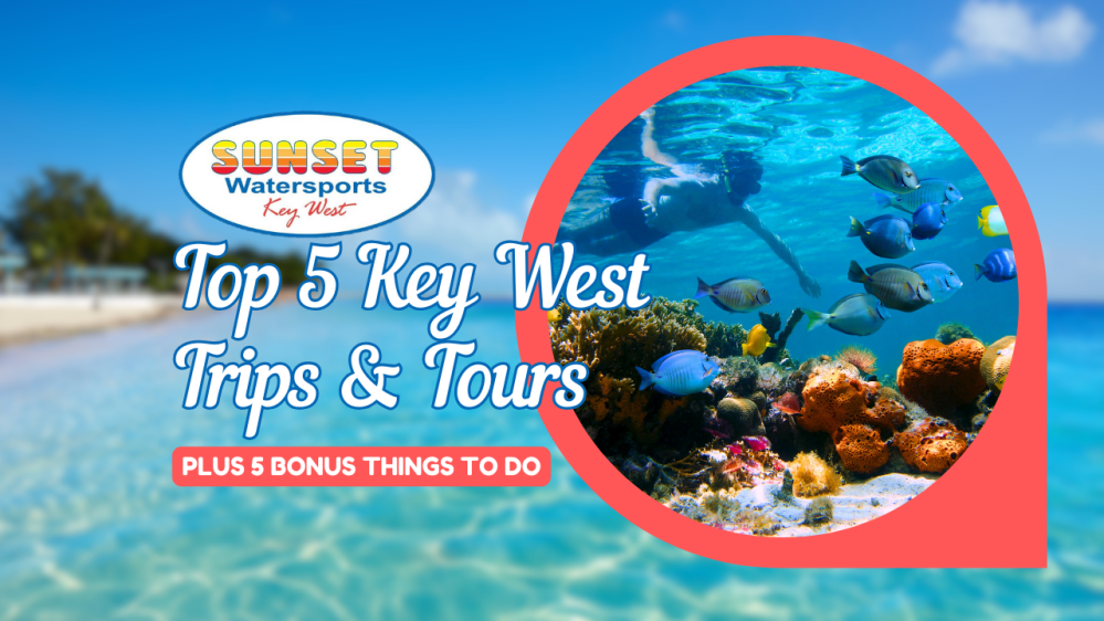 top 5 key west tours and things to do