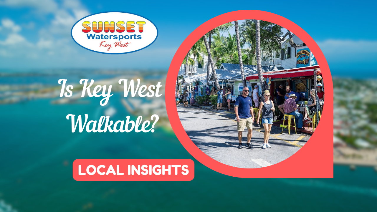 Is Ke;y West Walkable Local Insights Sunset Watersports